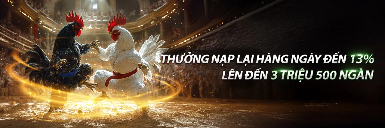 Sòng Bạc Ku99 Trang Chủ Chính Thức 2026